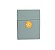 Lichtgrijs