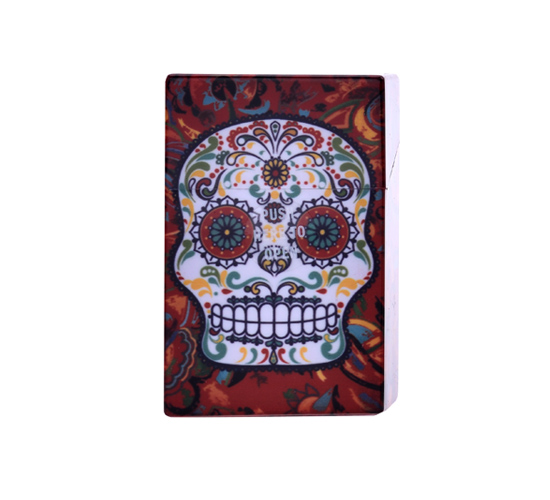 Skull 1
