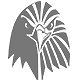 Zippo Eagle