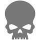 Zippo Skulls